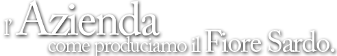 Queso di Sedda Pier Gavino. Commercio all'ingrosso di formaggio Fiore Sardo