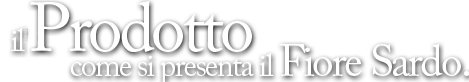 Queso di Sedda Pier Gavino. Commercio all'ingrosso di formaggio Fiore Sardo